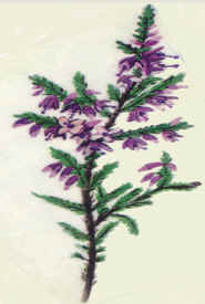 Entering Into a New&nbsp;Era