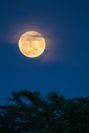 full-moon-25452493