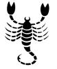 scorpio_tn