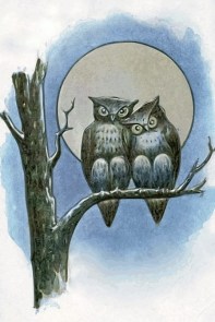 owls-in-full-moon