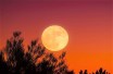 harvest-moon-1828012_640
