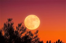 harvest-moon-1828012_640